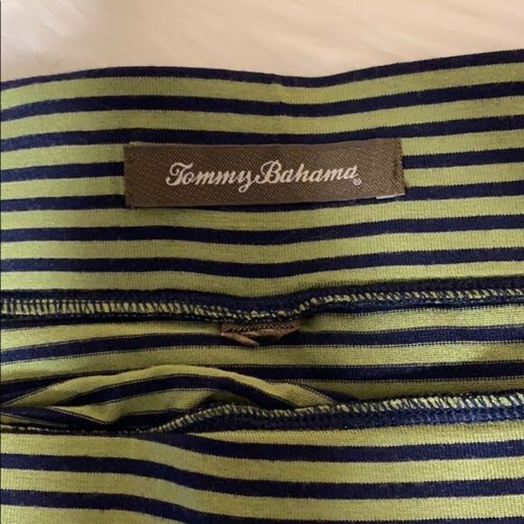 Tommy Bahama Green and Navy Striped Maxi Skirt - Picture 2 of 3